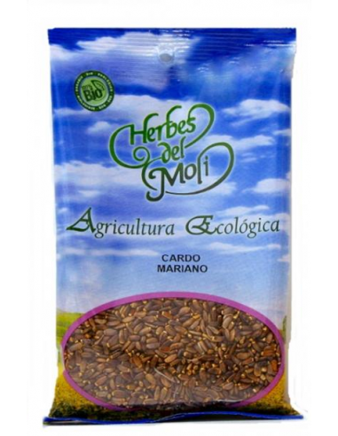 Cardo Mariano Bio -Herbes del Molí-...