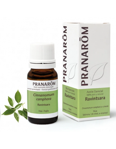 ACEITE ESENCIAL RAVINTSARA 10ML