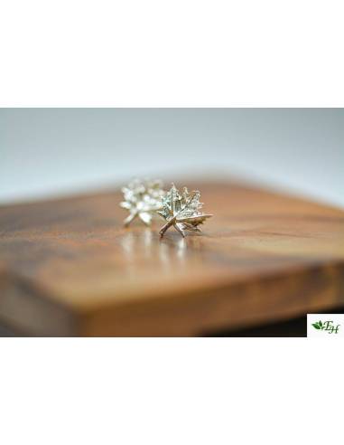 Pendiente Plata Hoja Otoño