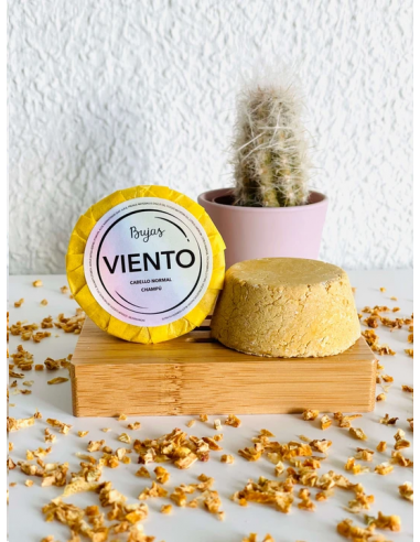 Champú Sólido Viento Cabello Normal -...