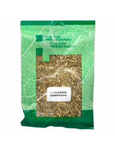 Coclearia ( Rompepiedra ) en Planta -...