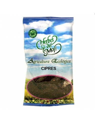 Ciprés en Planta - Herbes del Moli -...