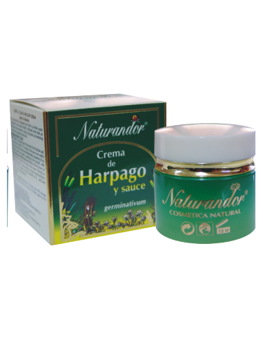 Crema De Harpago Y Sauce  -...
