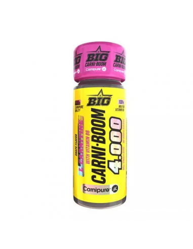 Carni Boom 4000 Sabor Piña - BIG - 60ml