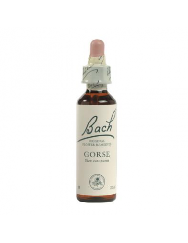 Gorse (Aulaga  N.13) - Bach - 20 Ml.