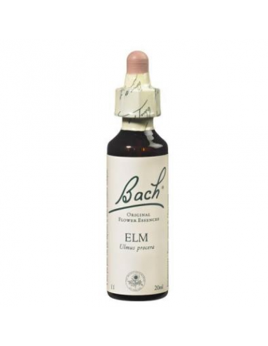 Elm (Olmo N. 11 ) - Bach - 20 Ml.
