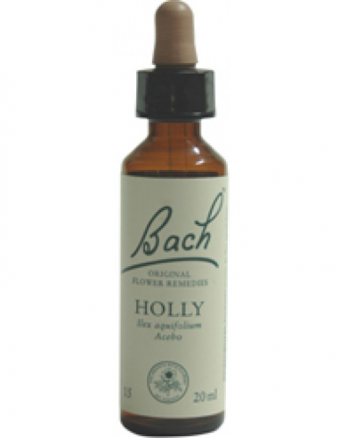 Holly (Acebo N. 15) - bach - 20 ml.
