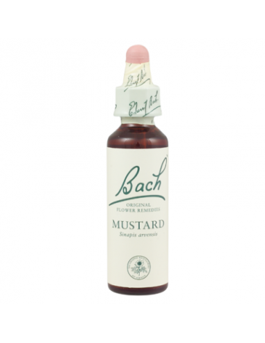 Mustard (Mostaza  N.21) - Bach - 20 Ml.