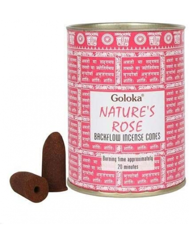 Conos de Reflujo Rosas - Goloka -