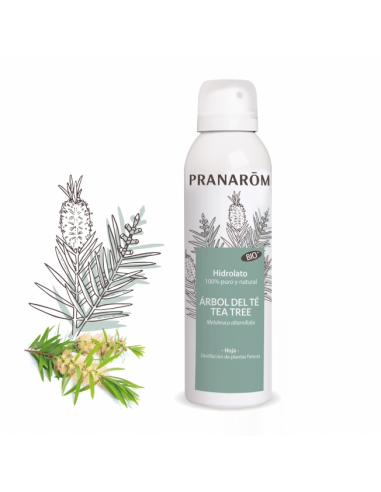 Hidrolato Árbol del Té Bio - Pranarom...