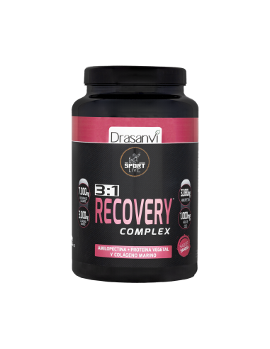 3:1 Recovery Complex Sabor Sandía -...