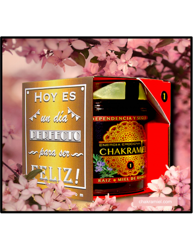 Miel de Romero Chakra Raiz -...