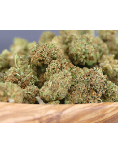 Flores CBD Green Dragon Minibuds -...