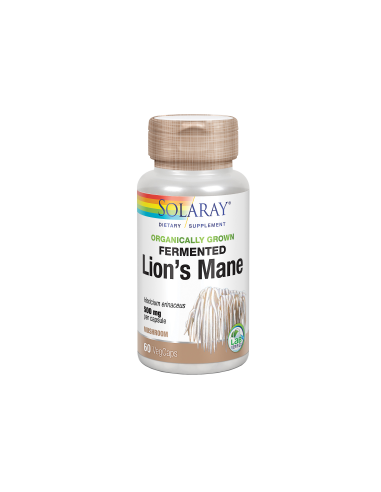 Melena de León Fermentado 500...