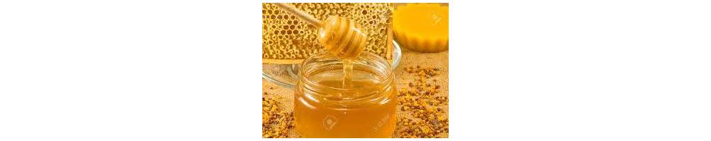 Productos Apícolas | Conoce las propiedades de la miel | Te sorprenderá