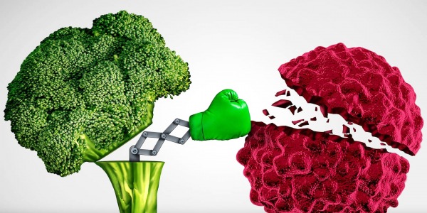 La importancia de una buena Alimentación.